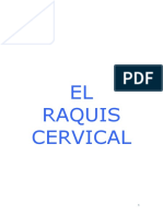 Raquis cervical (35 pag).doc