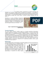 Mycetoma Briefing Paper Final September 2018 PDF