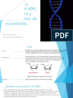 Estructura_y_Funcion_del_ADN_.pdf