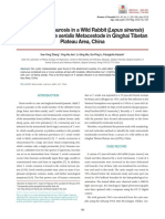 Articolul 4 PDF