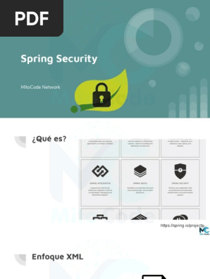 Spring Security PDF PDF
