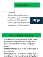 Photosynthesis