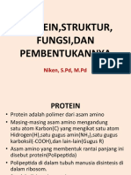 Pertemuan 4 - Struktur Protein