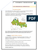REGIONES DE EMERGENCIAS AMBIENTALES.docx