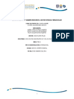 Cin2014a20098 PDF