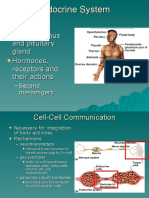 Endocrine