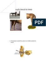 Fixação dorsal da rótula cep