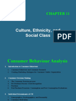 Culture, Ethnicity, and Social Class