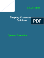 Shaping Consumers' Opinions