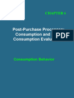 Post-Purchase Processes: Consumption and Post-Consumption Evaluations