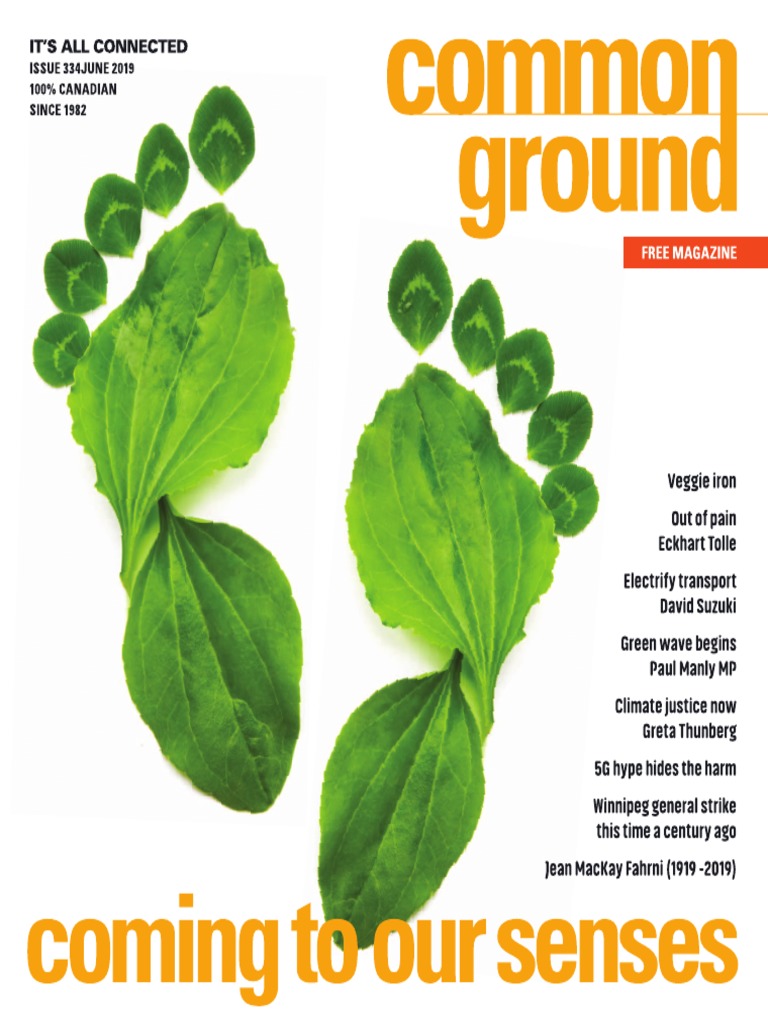 CG334 2019-07 Common Ground Magazine | PDF | Strike Action | Nature