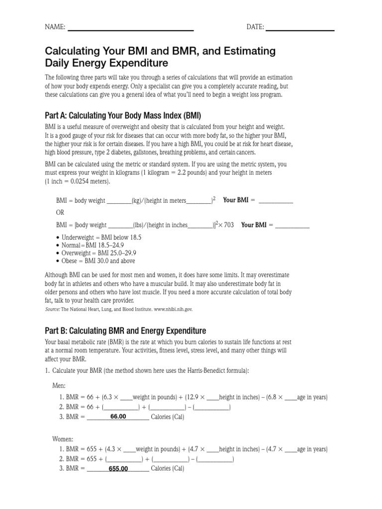 BCL Implement Calculating Bmi PDF | PDF | Body Mass Index | Body Shape