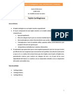 H06. Tejido Conjuntivo II - Dr. Guzmán PDF