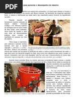 A chave para aumentar o desempenho do rebanho