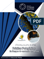 Pedagogía A Pie Corona Virus PDF