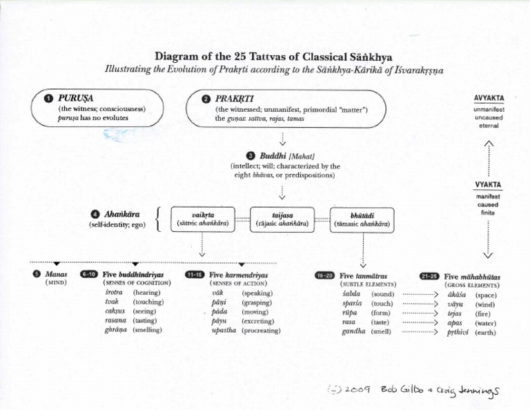 Sankhya Chart Gilbo | PDF