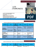 Presentacion Impuesto Al Patrimonio - VEA y PGA