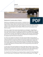 Elephants Endangered PDF