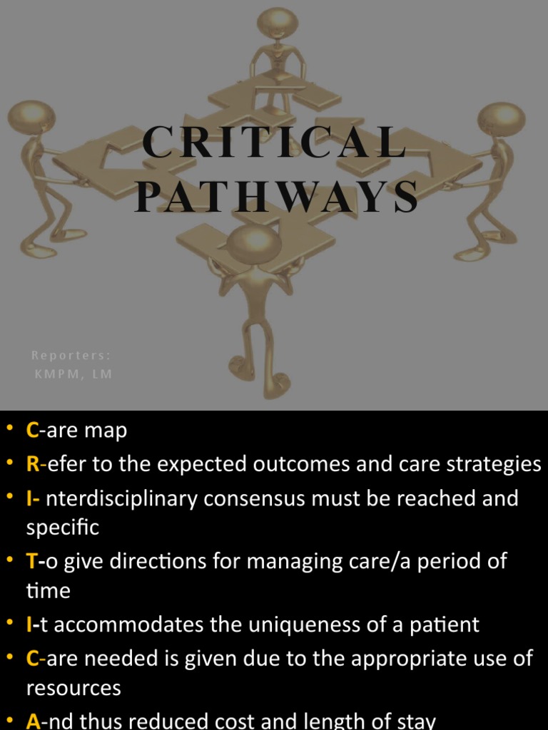Critical Pathway Care Management Guide | PDF