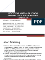 Identifikasi Mikroalga Sebagai Bioindikator Di Kolam Ikan Lele