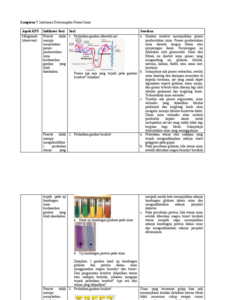 Tes Instrumen Kps Essay Maya Cindiati