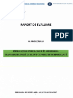 2017-06-07-Raport-evaluare-proiect-performanta