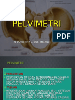 Pelvimetriii Print