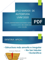 02 Ejemplo Kardex de Autoayuda Endodoncia PDF