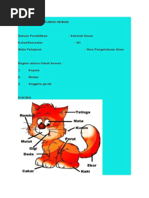 Bagian Utama Tubuh Hewan Pdf