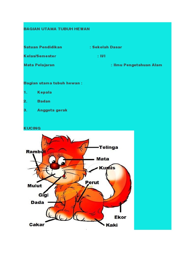 Bagian Utama Tubuh Hewan Pdf