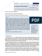 Isolation and Identification of Fungal Pathogens Associated With Diseases of Onion Crop in District Swat, Pakistan