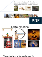 fort_elastica
