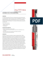 Tubing String Testing (TST) Valve: Provides Tubing Testing Capability With Automatic Fill of The Workstring