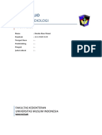 Portofolio Radiologi Stase Komprehensif Donita 11120182123