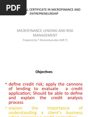 Final Microfinance Lending And Risk Management Pdf Microfinance Loans