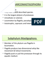Phylum Sarcomastigophora