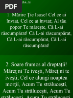 013-Marire Tie Isuse