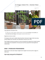 Panduan Menanam Anggur Dalam Pot Standar Pakar PDF
