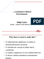 International Cultural Environment 