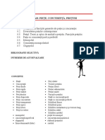 Piete-concurenta-preturi.pdf