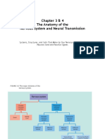 Chapter 3 & 4 The Anatomy of The Nervous System and Neural Transmission