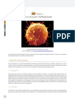Ciclo Celular y Reprodución PDF