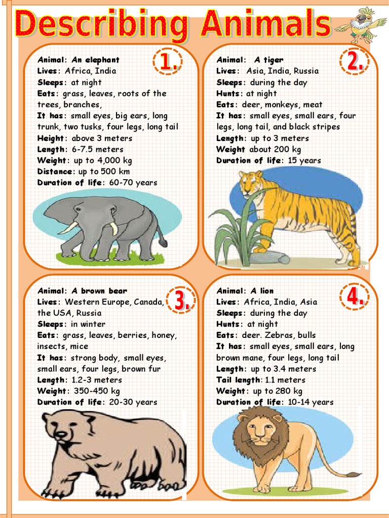 Describing Animals 1 - 66078 | PDF