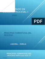 Principios Formativos Del Proceso