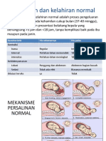 Persalinan Dan Kelahiran Normal: Karakteristik His Sebenarnya His Palsu