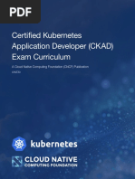 Certified Kubernetes Application Developer (CKAD) Exam Curriculum