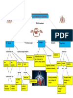 Mapa Mental Sistema Circulatorio