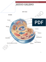 Vocabulary Cells