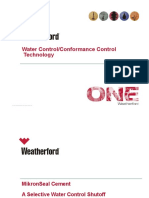 Weatherford Water Control Presentation To Customers CARLOS SARAVIA