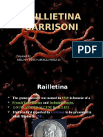 Raillietina garrisoni (Rat Tapeworm